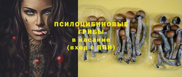 прущие грибы Волосово