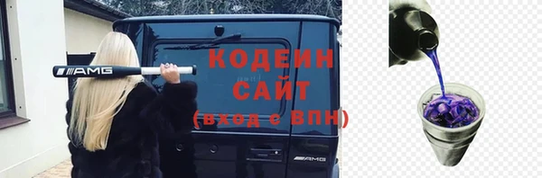 прущие грибы Волосово