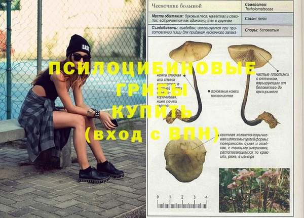 прущие грибы Волосово