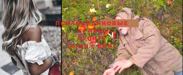 дмт Волоколамск