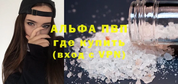 прущие грибы Волосово