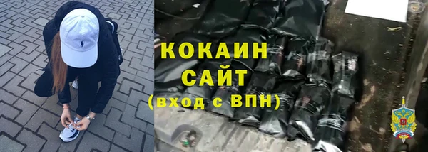 прущие грибы Волосово