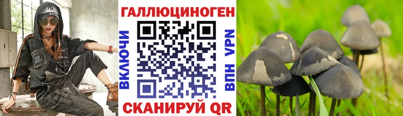 Псилоцибиновые грибы MAGIC MUSHROOMS  Купить  Асино 